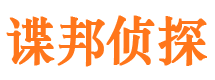 平原侦探公司